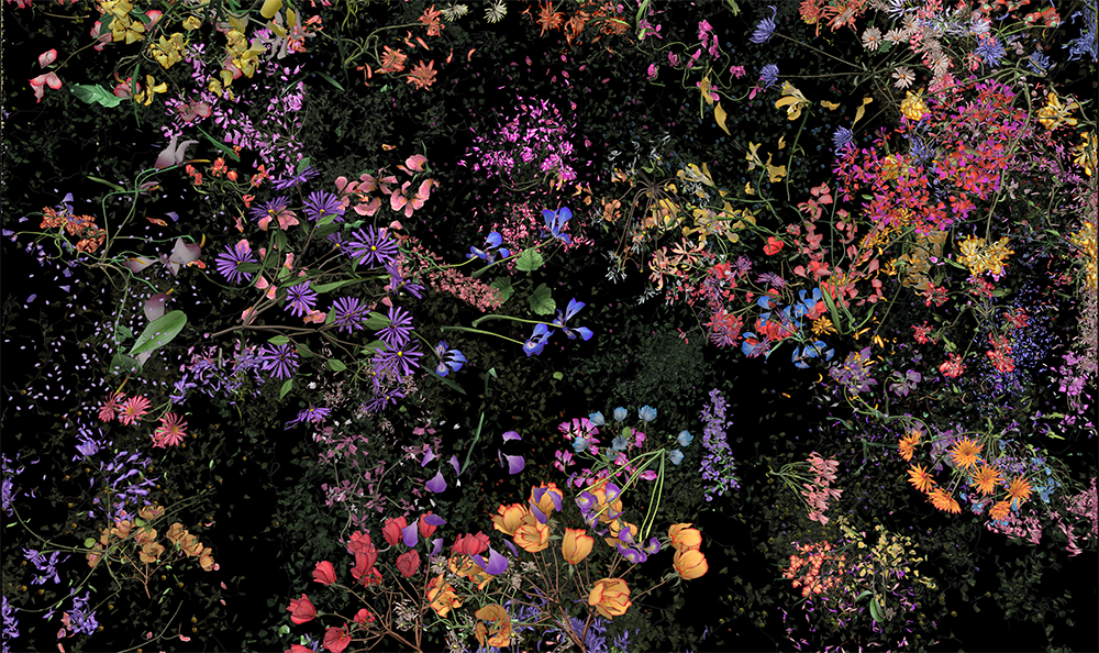 Steinkamp Botanic web release