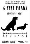 Joe Hollier multiple dogs thumbnail
