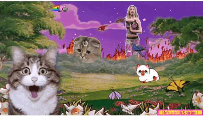 Screencap of #sometimesirun #sometimesihide by Casey Kauffman, a manipulated image with photos and illustrations of cats manipulated into an illustrated landscape along with other visual elements