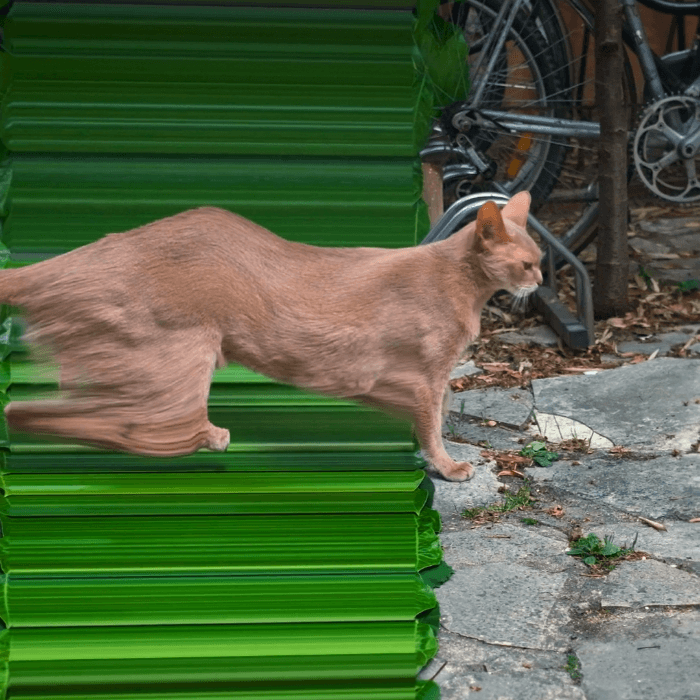 Screencap of Chat sur fond vert by Francois Vogel; a cat steps forward with a partially grassy background and the left half of the image abnormally stretched